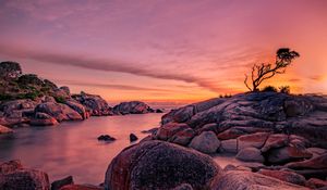 Preview wallpaper tree, stones, rocks, sunset, nature