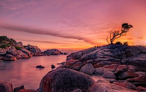Preview wallpaper tree, stones, rocks, sunset, nature