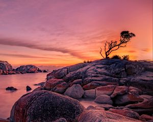 Preview wallpaper tree, stones, rocks, sunset, nature