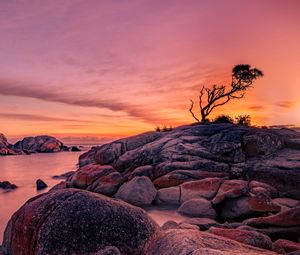 Preview wallpaper tree, stones, rocks, sunset, nature
