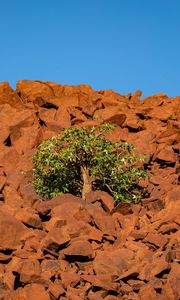 Preview wallpaper tree, stones, sky, nature