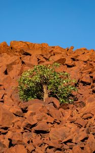 Preview wallpaper tree, stones, sky, nature