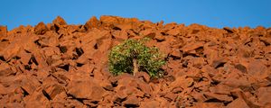 Preview wallpaper tree, stones, sky, nature