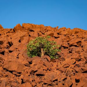 Preview wallpaper tree, stones, sky, nature