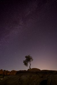 Preview wallpaper tree, stones, stars, night