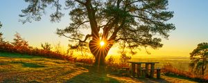 Preview wallpaper tree, sun, landscape, autumn, nature