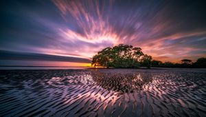 Preview wallpaper tree, sunrise, water, colorful