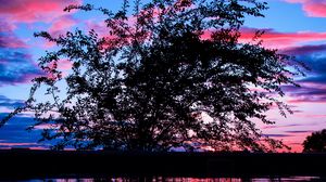 Preview wallpaper tree, sunset, branches, clouds
