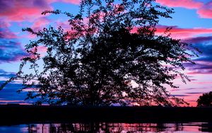 Preview wallpaper tree, sunset, branches, clouds