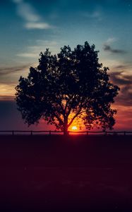 Preview wallpaper tree, sunset, clouds, sky, horizon