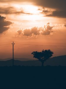 Preview wallpaper tree, sunset, column, wires