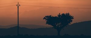 Preview wallpaper tree, sunset, column, wires