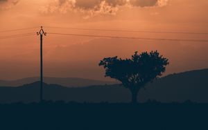 Preview wallpaper tree, sunset, column, wires
