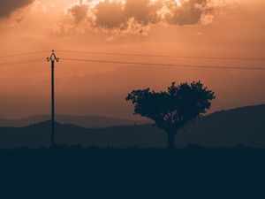 Preview wallpaper tree, sunset, column, wires