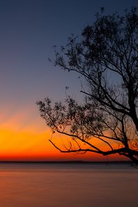 Preview wallpaper tree, sunset, dark, horizon, dusk