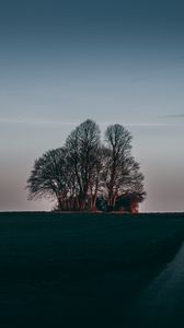 Preview wallpaper tree, sunset, grass, horizon