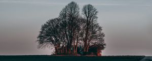 Preview wallpaper tree, sunset, grass, horizon