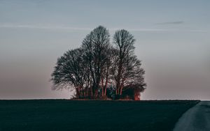 Preview wallpaper tree, sunset, grass, horizon