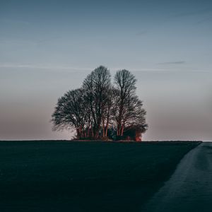 Preview wallpaper tree, sunset, grass, horizon