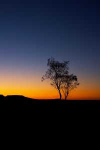Preview wallpaper tree, sunset, horizon, sky, outline