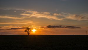 Preview wallpaper tree, sunset, horizon, sky, clouds, lonely