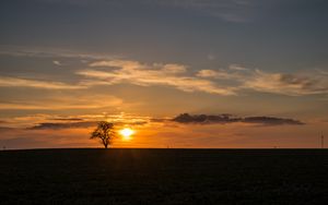 Preview wallpaper tree, sunset, horizon, sky, clouds, lonely