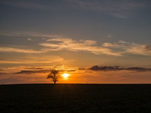Preview wallpaper tree, sunset, horizon, sky, clouds, lonely