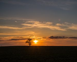 Preview wallpaper tree, sunset, horizon, sky, clouds, lonely