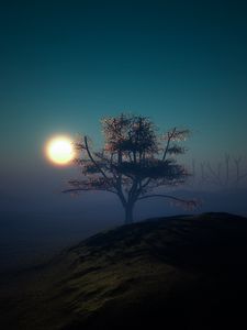 Preview wallpaper tree, sunset, night, lights, hill