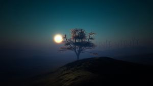 Preview wallpaper tree, sunset, night, lights, hill