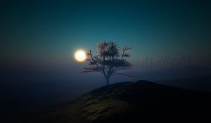 Preview wallpaper tree, sunset, night, lights, hill