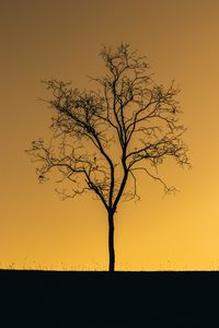 Preview wallpaper tree, sunset, twilight, dark, lonely