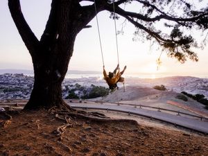 Preview wallpaper tree, swing, girl, nature, view