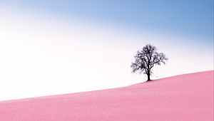 Preview wallpaper tree, swing, slope, photoshop