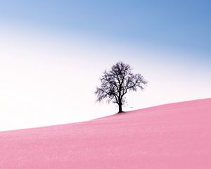 Preview wallpaper tree, swing, slope, photoshop