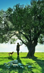 Preview wallpaper tree, walk, rest, girl, dog, evening