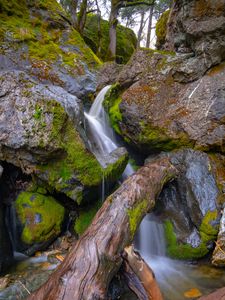 Preview wallpaper tree, wet, waterfall, stones