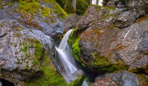 Preview wallpaper tree, wet, waterfall, stones