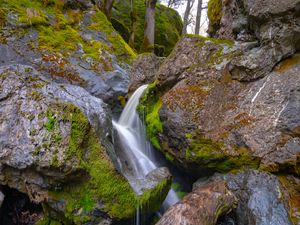 Preview wallpaper tree, wet, waterfall, stones