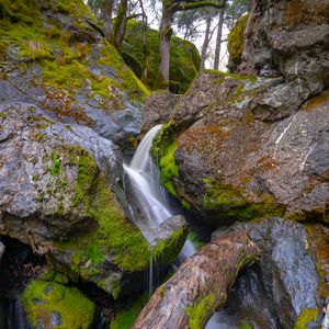 Preview wallpaper tree, wet, waterfall, stones