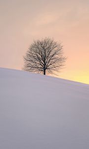 Preview wallpaper tree, winter, minimalism, snow, hillock