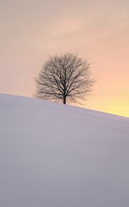 Preview wallpaper tree, winter, minimalism, snow, hillock