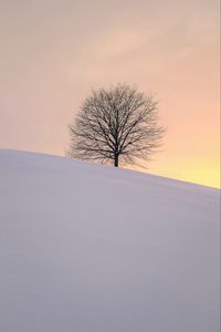 Preview wallpaper tree, winter, minimalism, snow, hillock