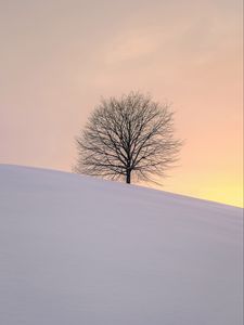 Preview wallpaper tree, winter, minimalism, snow, hillock