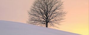 Preview wallpaper tree, winter, minimalism, snow, hillock