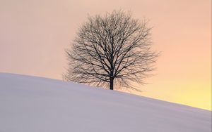 Preview wallpaper tree, winter, minimalism, snow, hillock