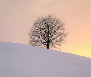 Preview wallpaper tree, winter, minimalism, snow, hillock