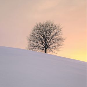 Preview wallpaper tree, winter, minimalism, snow, hillock