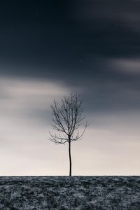 Preview wallpaper tree, winter, minimalism, snow, starry sky