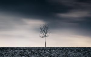 Preview wallpaper tree, winter, minimalism, snow, starry sky